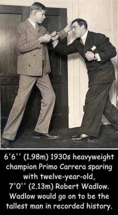 fun randoms - funny photos - robert wadlow - 6'6'' 1.98m 1930s heavyweight champion Primo Carrera sparing with twelveyearold, 7'0" 2.13m Robert Wadlow. Wadlow would go on to be the tallest man in recorded history.