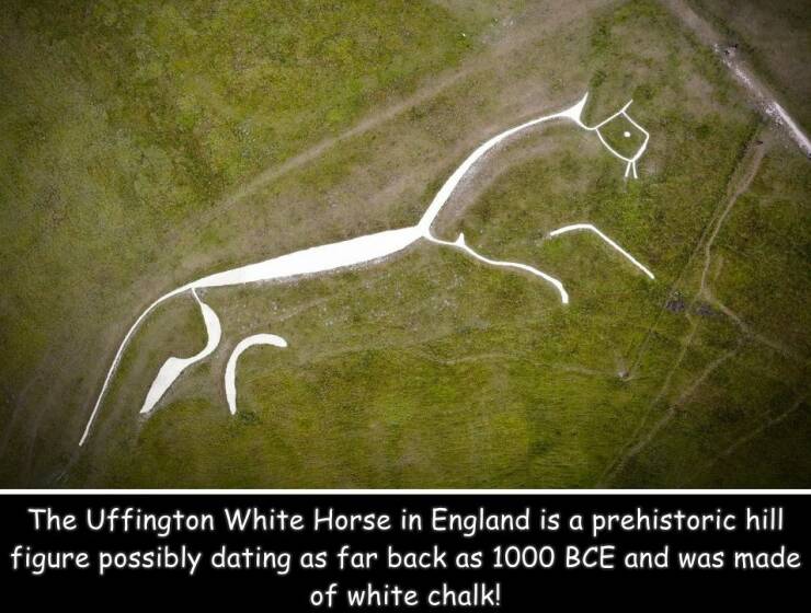 fun randoms - funny photos - grass - Pc The Uffington White Horse in England is a prehistoric hill figure possibly dating as far back as 1000 Bce and was made of white chalk!