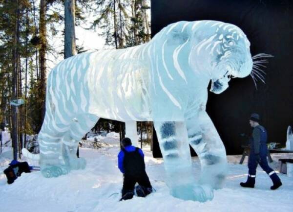 random pics - tiger ice sculpture - He