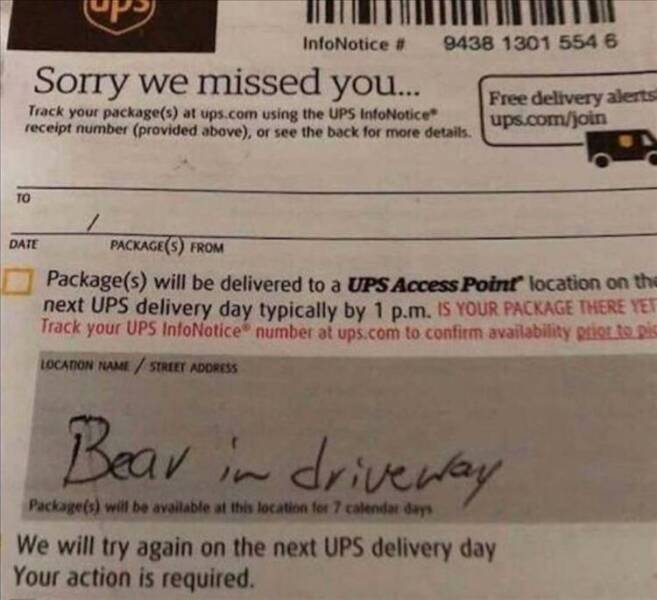 random pics - ups bear in driveway - InfoNotice # Sorry we missed you... Track your packages at ups.com using the Ups InfoNotice" receipt number provided above, or see the back for more details. Free delivery alerts ups.comjoin To Date PackageS From Packa