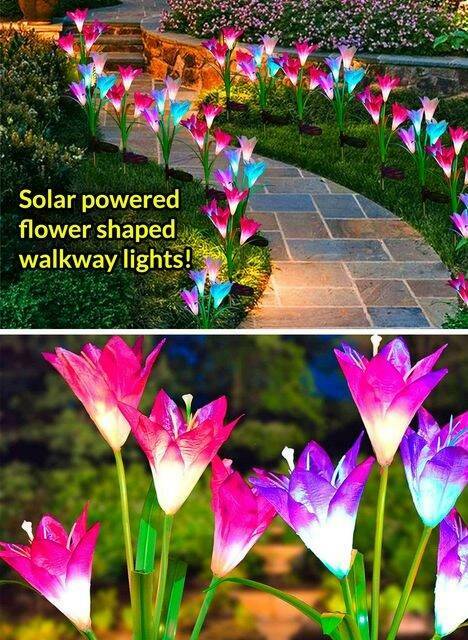 random pics - flora - Solar powered flower shaped walkway lights!
