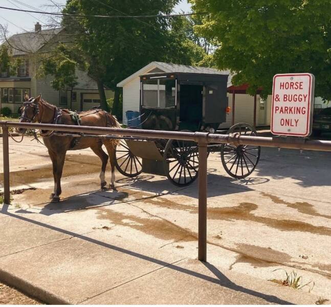 random pics - cart - Horse & Buggy Parking Only