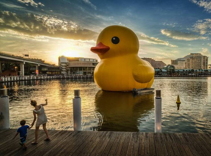fun randoms - funny photos - giant rubber duck sydney
