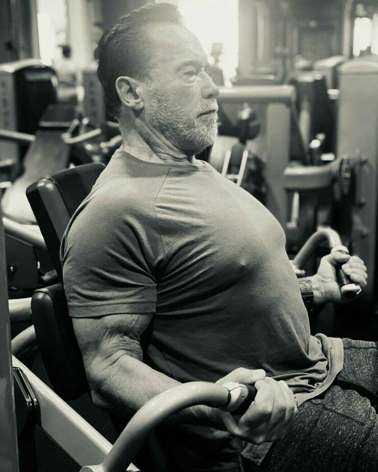 fun randoms - funny photos - Arnold Schwarzenegger