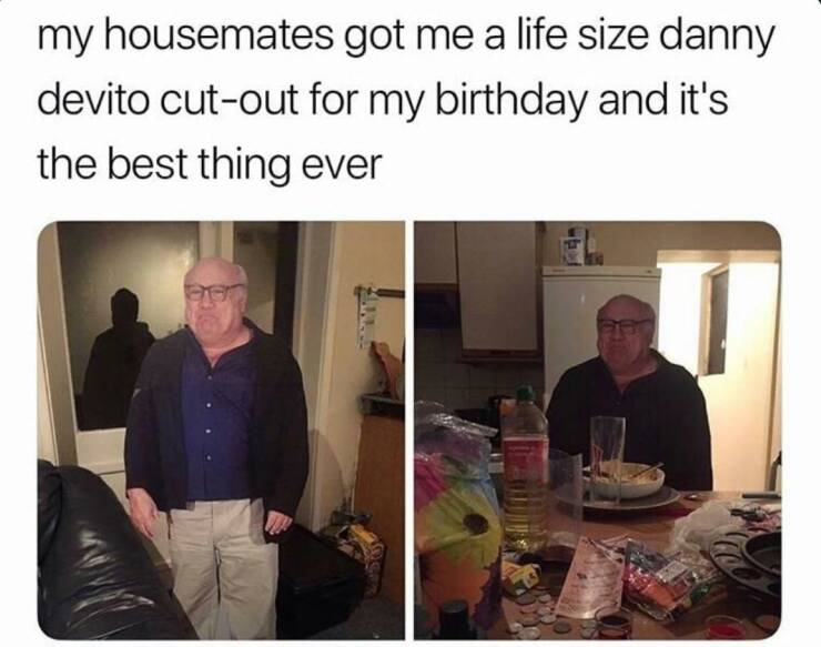 cool and interesting photos - danny devito cardboard cutout meme - my housemates got me a life size danny devito cutout for my birthday and it's the best thing ever