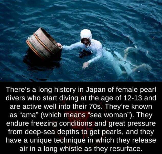 Random Pictures and Images - There's a long history in Japan of female pearl divers who start diving at the age of 1213 and are active well into their 70s. They're known as