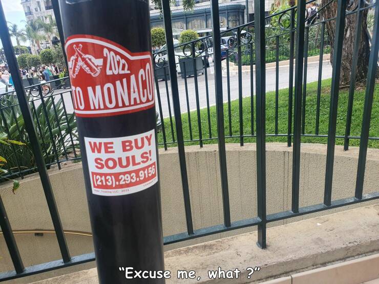 daily dose of randoms - signage - To Monaco We Buy Souls! 213.293.9156 Young Llc 2025 "Excuse me, what ?"