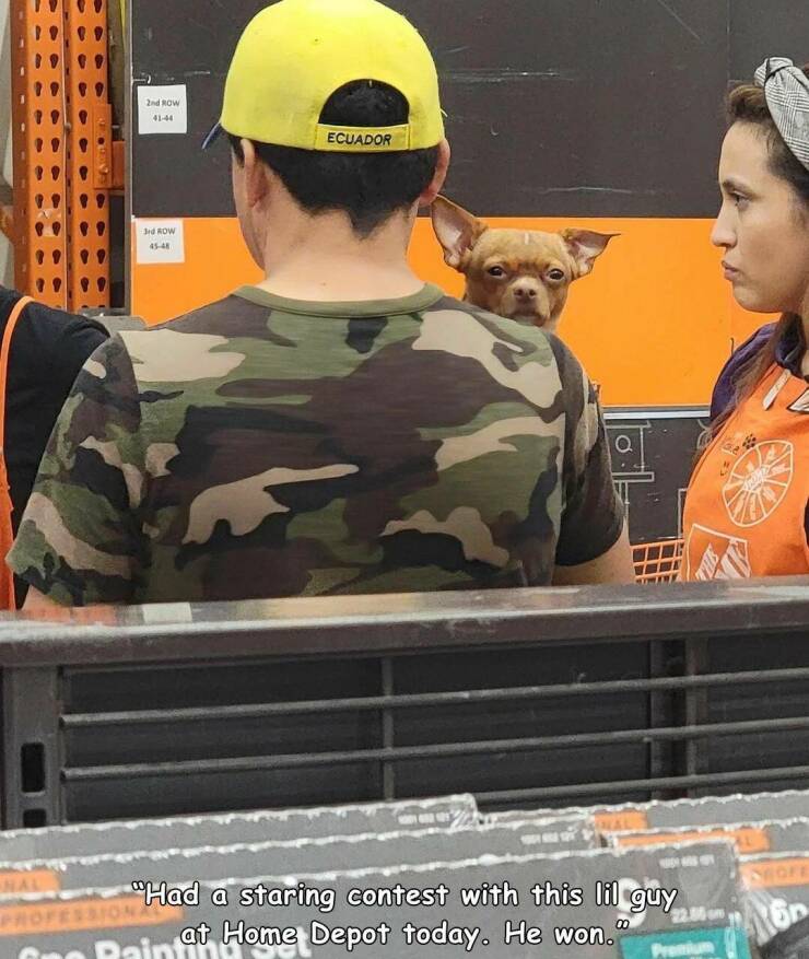 daily dose of randoms - soldier - Nal 2nd Row 3rd Row 4548 Ecuador Painti O "Had a staring contest with this lil guy at Home Depot today. He won. Premi Neofe 160