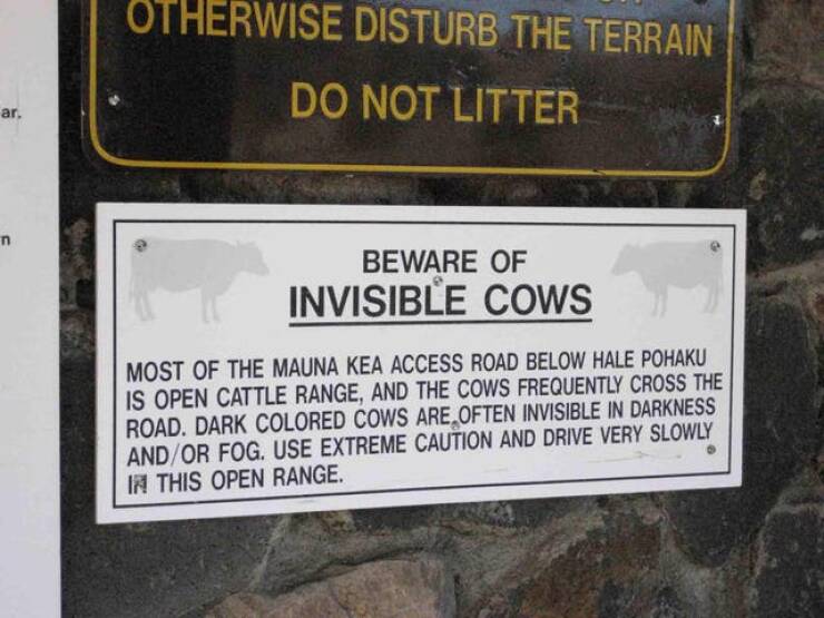 daily dose of randoms -  mauna kea - ar, n Otherwise Disturb The Terrain Do Not Litter Beware Of Invisible Cows Most Of The Mauna Kea Access Road Below Hale Pohaku Is Open Cattle Range, And The Cows Frequently Cross The Road. Dark Colored Cows Are Often I