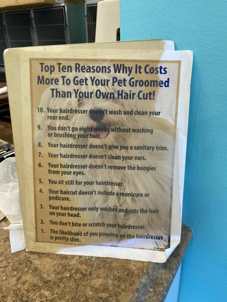 daily dose of randoms - og grooming poster - Top Ten Reasons Why It Costs More To Get Your Pet Groomed Than Your Own Hair Cut! 10. Your hairdresser doesn't wash and clean your rear end. 9. You don't go eight weeks without washing or brushing your hair. 8.