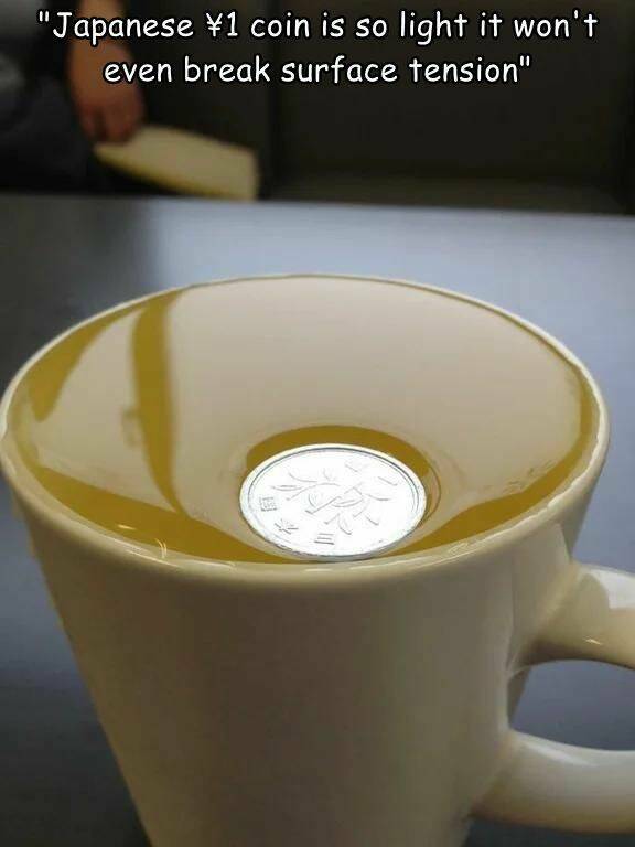 daily dose of randoms - japanese coin on water - "Japanese 1 coin is so light it won't even break surface tension"