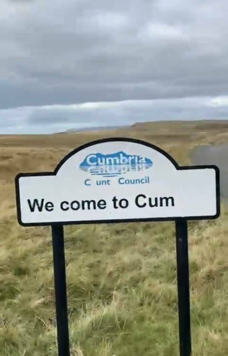 daily dose of randoms - grass - Cumbria C unt Council We come to Cum