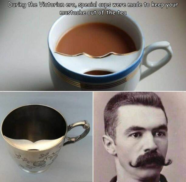 daily dose - during the victorian era special cups were made to keep your mustache out of your tea - During the Victorian era, special cups were made to keep your mustache out of the tea