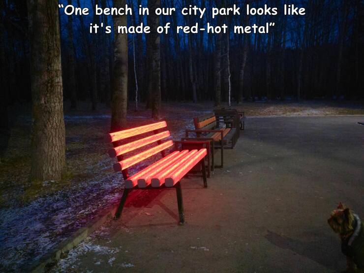 daily dose of pics and memes - nature - "One bench in our city park looks it's made of redhot metal"