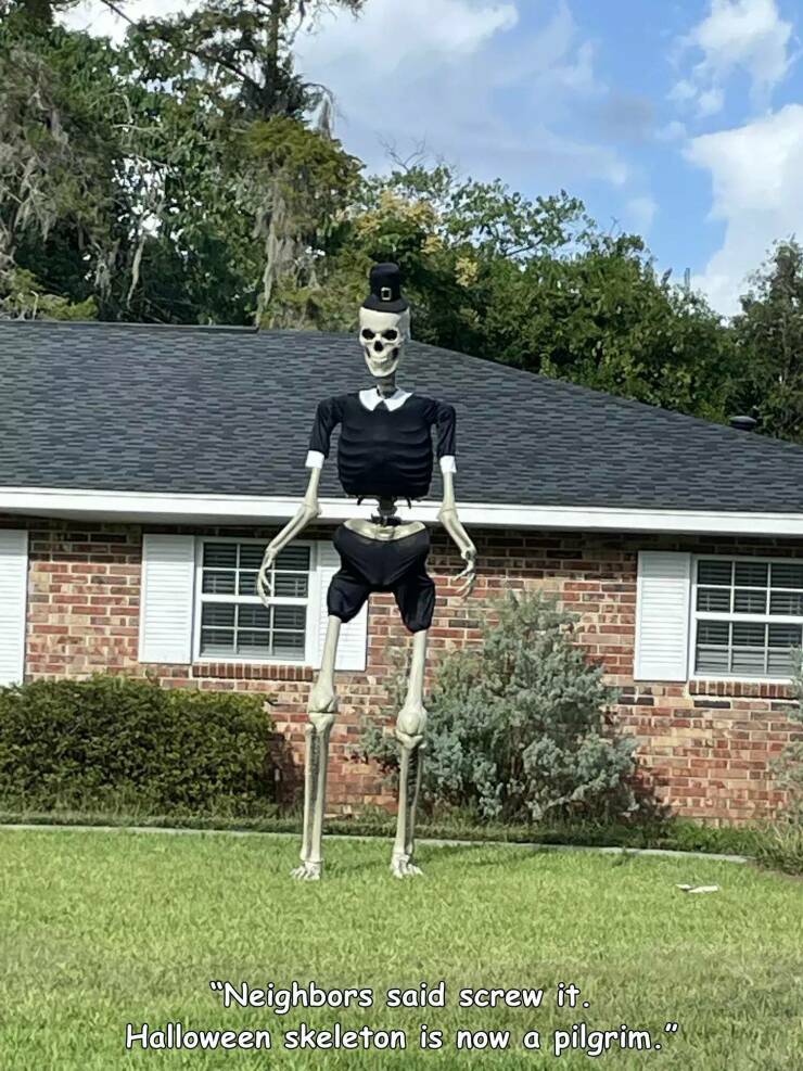 daily dose of pics and memes - tree - "Neighbors said screw it. Halloween skeleton is now a pilgrim."