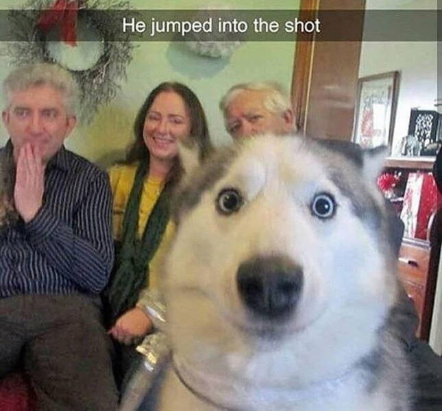 things to make you smile - He jumped into the shot
