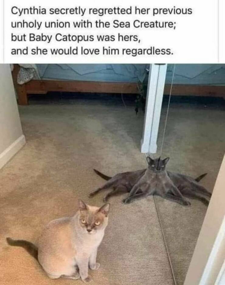 cool random pics - photo caption - Cynthia secretly regretted her previous unholy union with the Sea Creature; but Baby Catopus was hers, and she would love him regardless.
