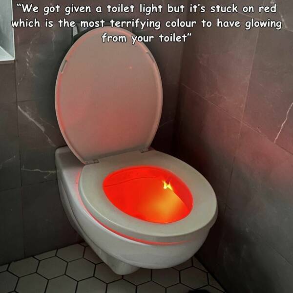 cool random pics - toilet - "We got given a toilet light but it's stuck on red which is the most terrifying colour to have glowing from your toilet"