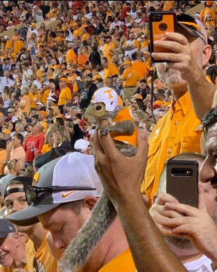 cool random pics - tennessee fan with squirrel