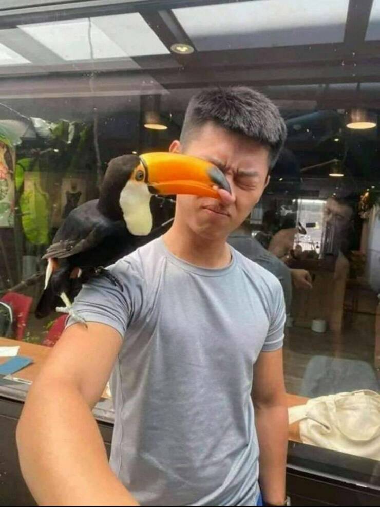 funy filled photos - toucan bite