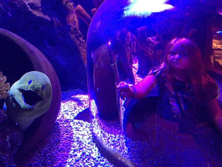 cool random photos - aquarium