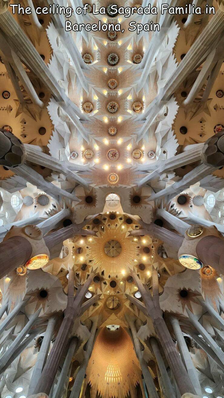 cool random photos - ceiling - The ceiling of La Sagrada Familia in Barcelona, Spain