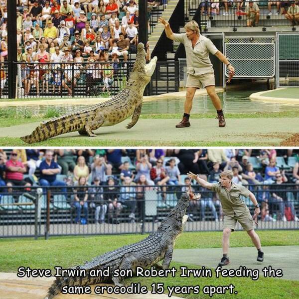 fun random pics - australia zoo - Steve Irwin and son Robert Irwin feeding the same crocodile 15 years apart.