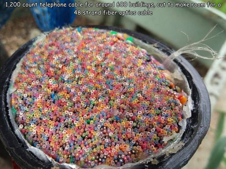 fun random pics - sprinkles - 1,200 count telephone cable for around 600 buildings, cut to make room for a 48 strand fiber optics cable