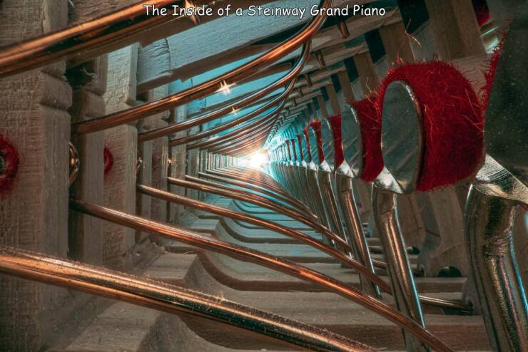 cool random pcis - charles brooks - The Inside of a Steinway Grand Piano
