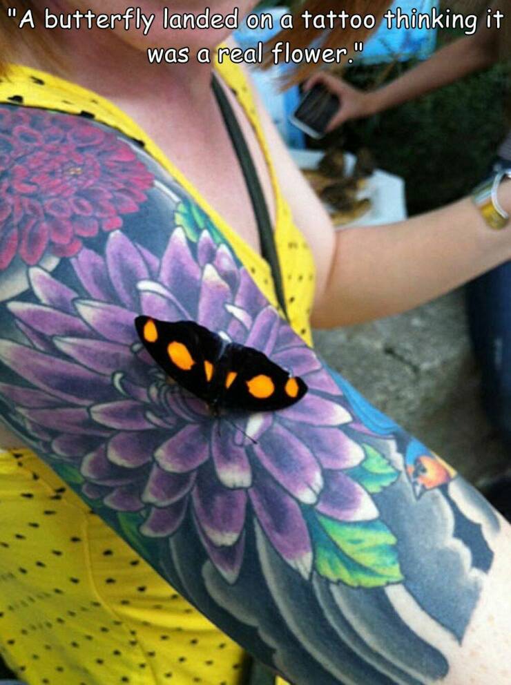 cool random pcis - Tattoo - "A butterfly landed on a tattoo thinking it was a real flower."