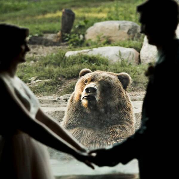 Monday Morning Randomness - couples at zoo