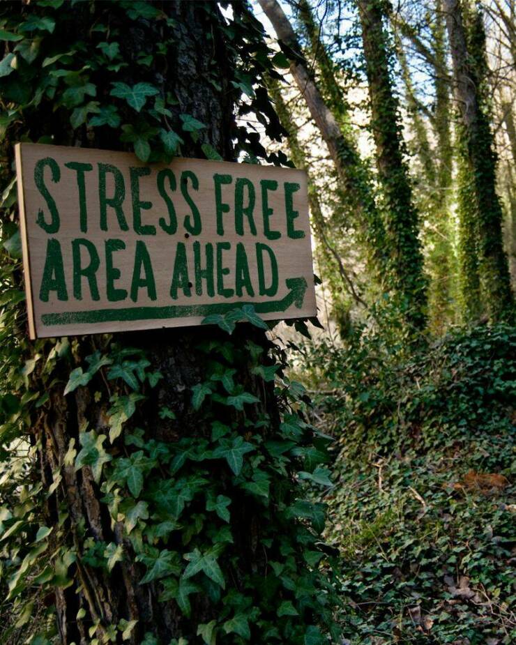 Monday Morning Randomness - stress free aesthetic - Stress Free Area Ahead