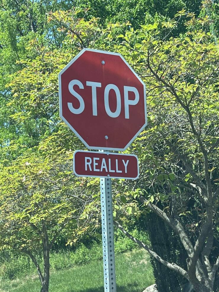 fun random pics - stop sign - Stop Really