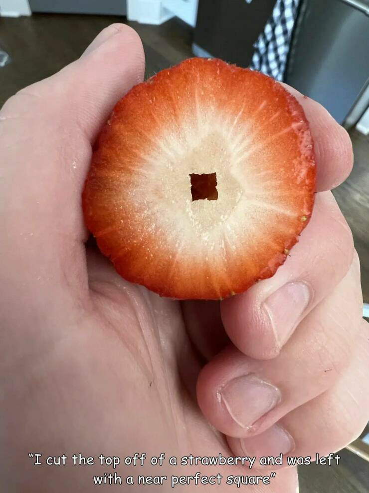 fun random pics - bagel - X "I cut the top off of a strawberry and was left with a near perfect square"