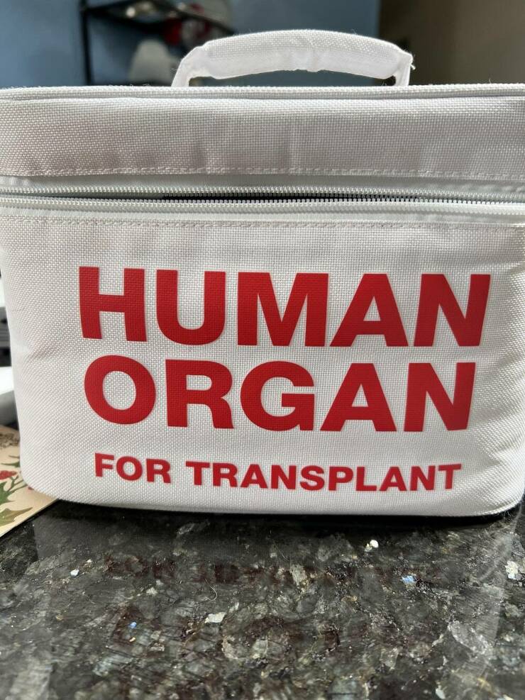 cool random pics - human organs lunch box - Human Organ For Transplant