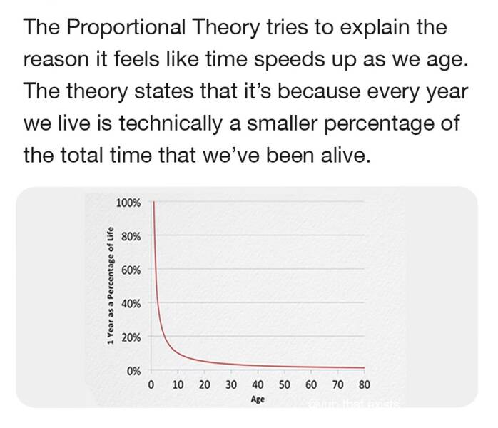 cool random pics - diagram - The Proportional Theory tries to explain the reason it feels time speeds up as we age. The theory states that it's because every year we live is technically a smaller percentage of the total time that we've been alive. 1 Year 