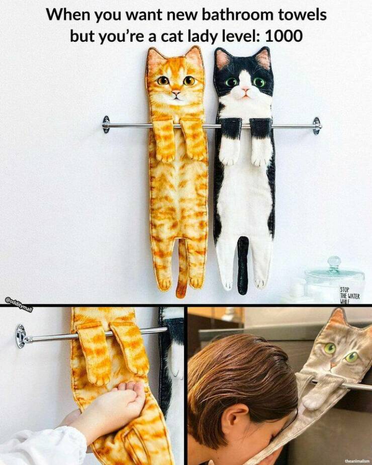 cool pics - cat towels - Codditymall When you want new bathroom towels but you're a cat lady level 1000 Stop The Water While theanimalism