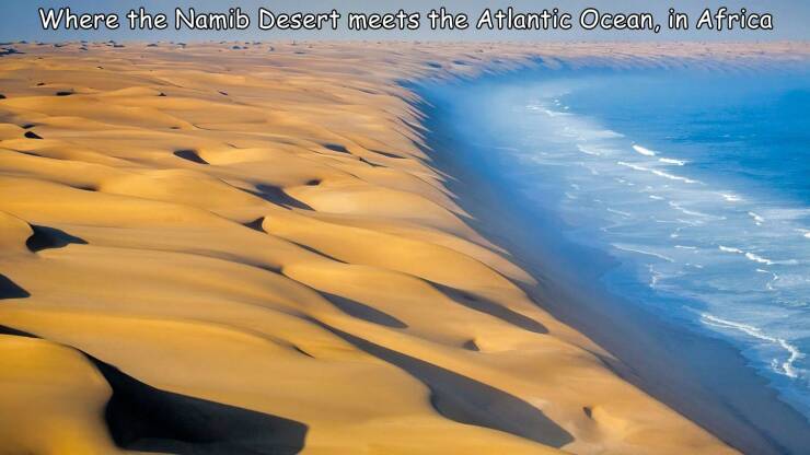 cool random pics - Where the Namib Desert meets the Atlantic Ocean, in Africa