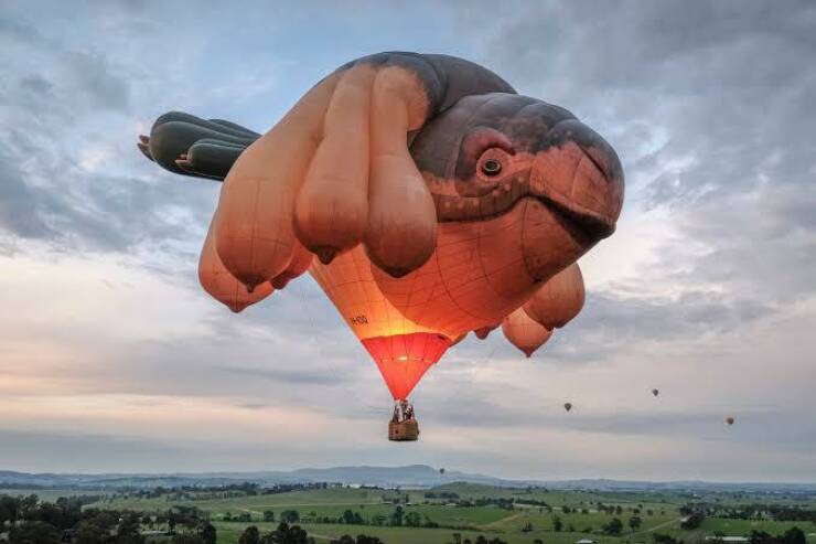 cool random pics and photos -  hot air balloon yarra valley -