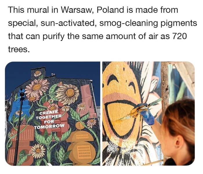 cool random pics and photos -  cartoon - This mural in Warsaw, Poland is made from special, sunactivated, smogcleaning pigments that can purify the same amount of air as 720 trees. Create Together For Tomorrow 563 toho