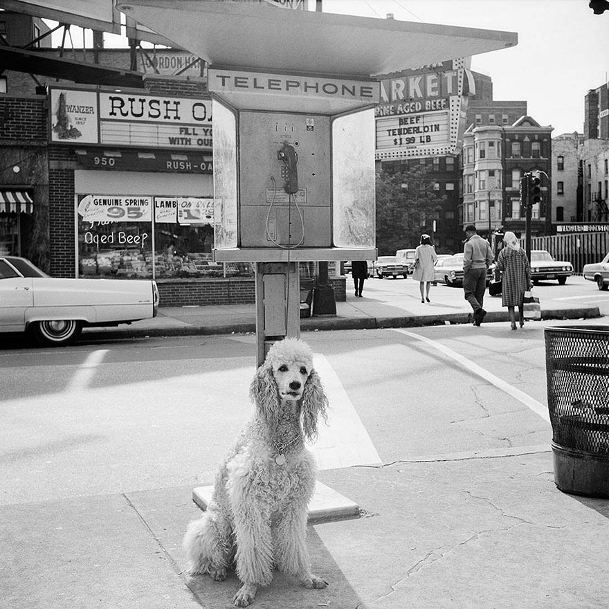 Never Before Seen Street Photos Of 1950s NYC And Chicago