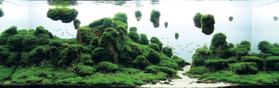 Green Paradise by Quan Nguyen Minh