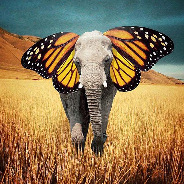 21 Amazing Photos That Will Play With Your Sense Of Reality