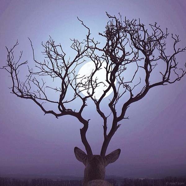 21 Amazing Photos That Will Play With Your Sense Of Reality