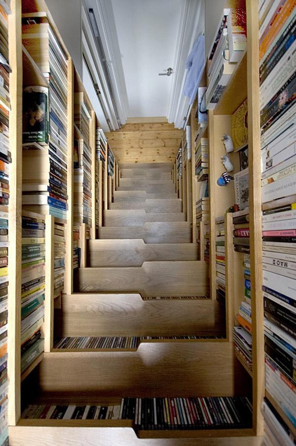 Book case thats also a staircase.