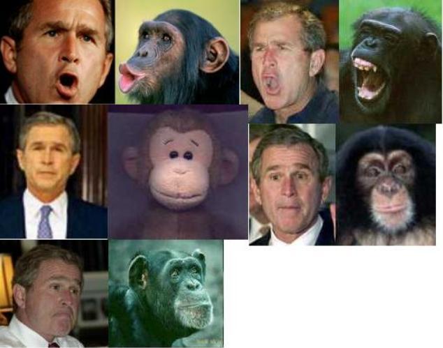 Bush look alikes