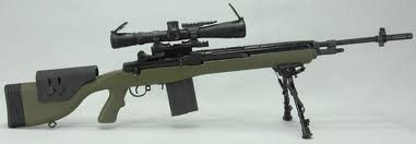 M14 Sniper