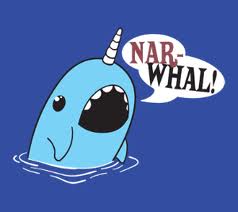 Narwhal gallery