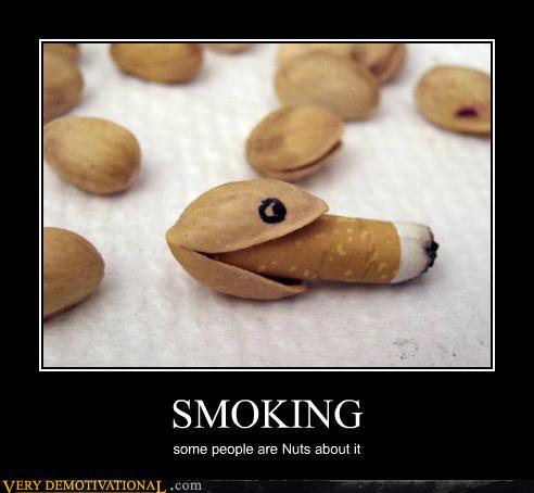 Smoke up nutty