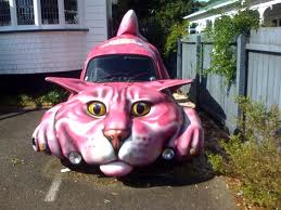cat car :/